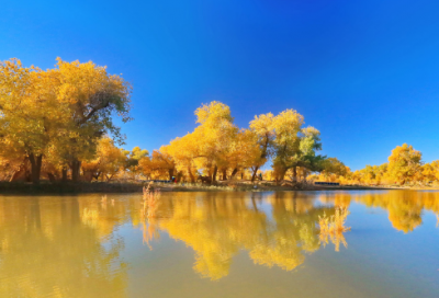 ​救火英雄励志故事 致敬英雄