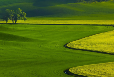 ​周瑜小乔的爱情故事 周瑜死后小乔去哪了