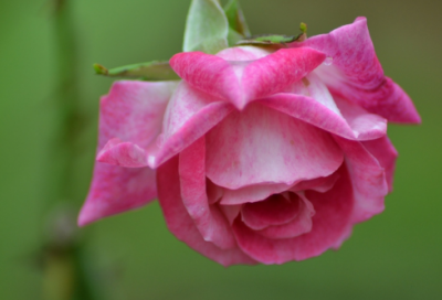 ​传说伏羲女娲的爱情故事