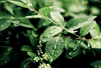 ​狄青三取珍珠旗的著名故事介绍