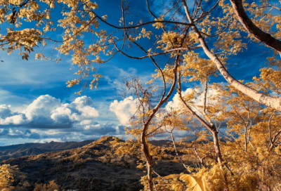 ​儒家集成者朱熹劝学的故事
