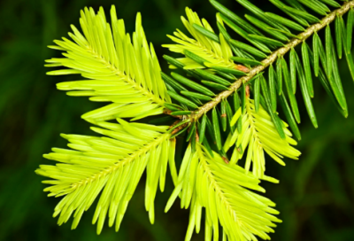 ​越听越聪明的胎教故事