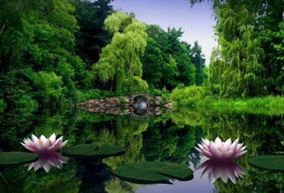 ​三国名将鲁肃一生的故事