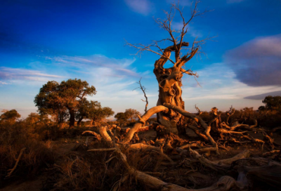 ​含有教育意义的感人故事三篇