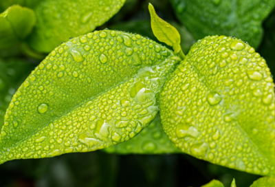 ​上古帝王伏羲画八卦的故事