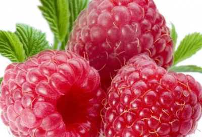 ​刘备关羽张飞义结金兰 三国名将张飞的故事