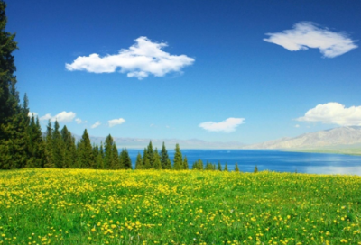 ​加里·奥德曼：加里·奥德曼-基本介绍，加里·奥德曼-成长故事_加里61奥德曼