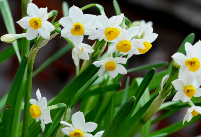 ​奥斯特洛夫斯基的故事有哪些