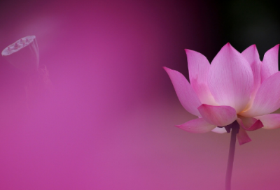 ​母亲节短信祝福