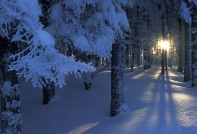 ​舅舅生日祝福语大全