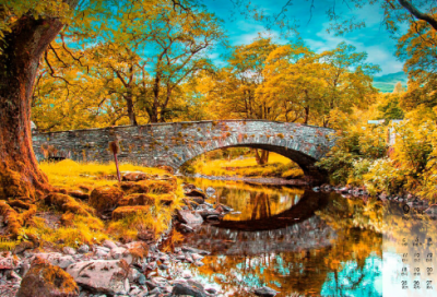 ​中秋祝福短信领导