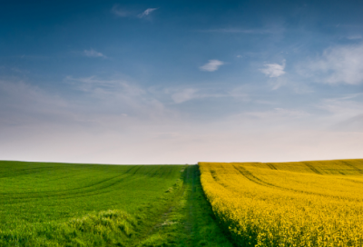 ​给母亲的祝福语