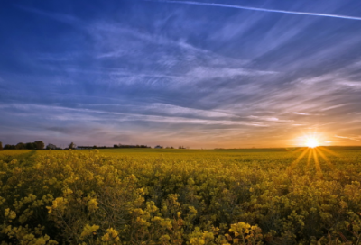 ​教师节祝福语大全