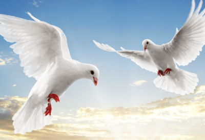 ​七夕情人节祝福短信