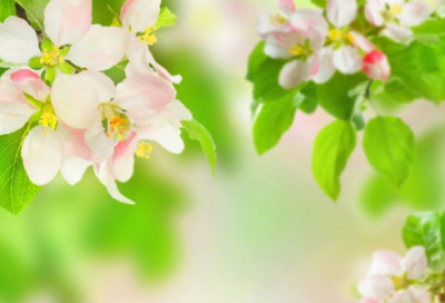 ​国庆节祝福短信大全