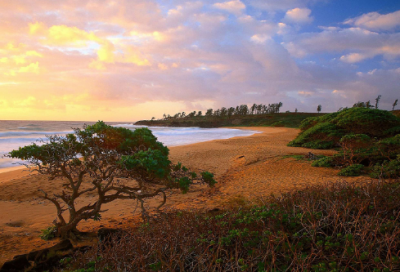 ​教师节给老师的祝福语