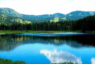 ​新年祝福老师短信