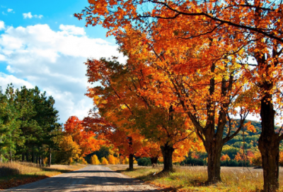 ​新年祝福语简短