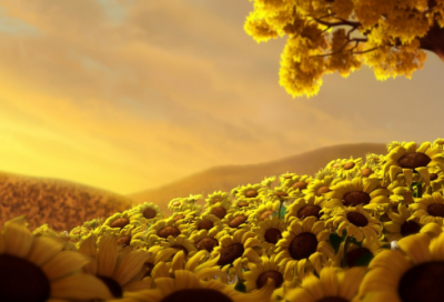 ​祝福语大全短语