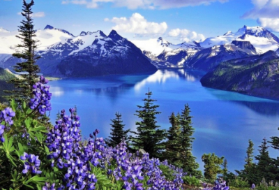 ​新年对老师的祝福语