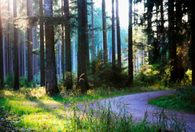 ​生日短信祝福