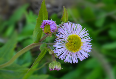 ​生日快乐祝福语朋友