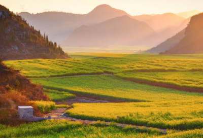 ​七夕节祝福短信