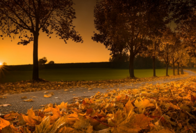 ​给同事的新年祝福语