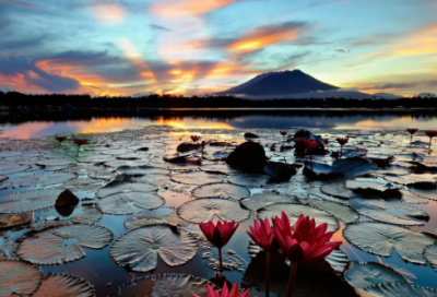 ​新年祝福语大全