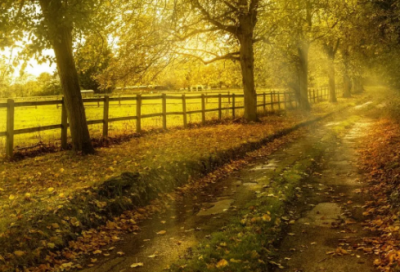 ​生日祝福短语大全