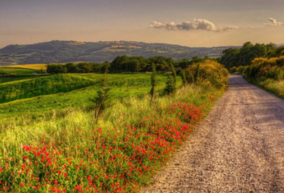 ​新年祝福语言