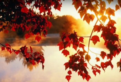 ​国庆祝福短信