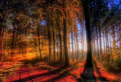 ​朋友生日祝福语