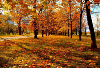 ​祝福父亲的话