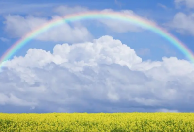 ​搞笑新年祝福短信