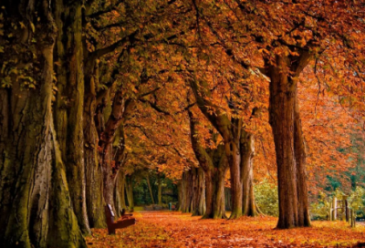 ​妈妈生日快乐祝福语