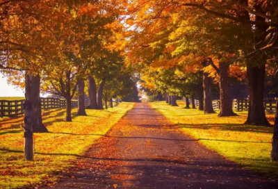 ​国庆客户祝福短信