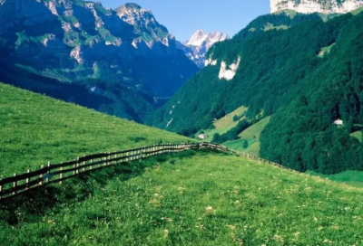 ​对长辈的祝福语