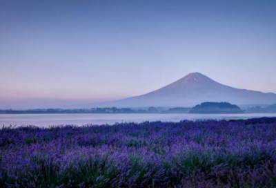 ​中秋节日祝福短信