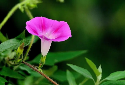 ​手机短信祝福语