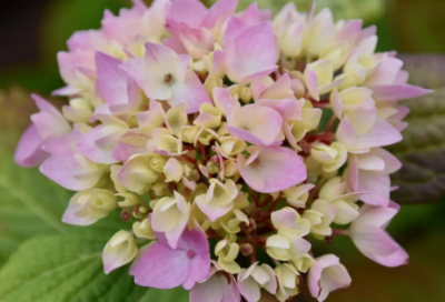 ​生日快乐祝福语写给自己