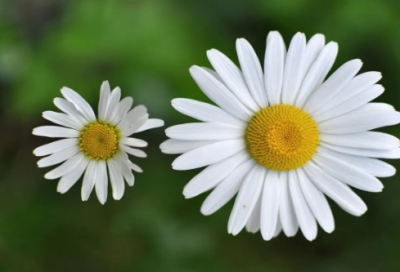 ​国庆节祝福语短信