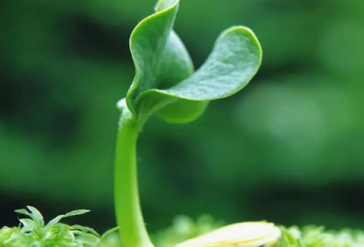 ​生日祝福短信给老婆
