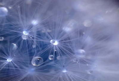 ​祝福语大全老师