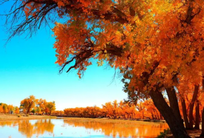 ​愚人节祝福短信