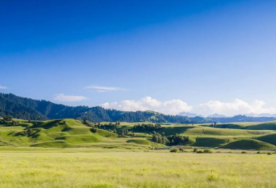 ​公司祝福短信