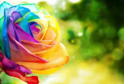 ​给领导的中秋祝福短信