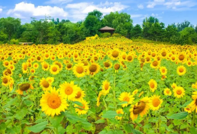 ​客户祝福短信最温馨的话