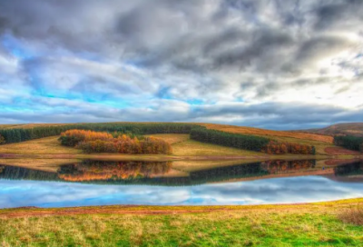 ​元旦短信祝福