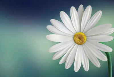 ​祝福短语签名